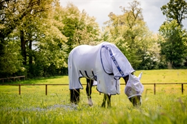 Amigo Bug Buster Insektdækken til hest i farven lavendel